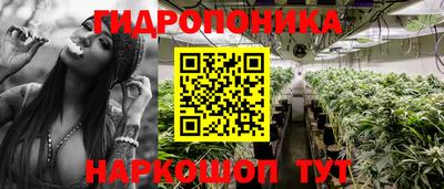 Альфа ПВП Гусиноозёрск