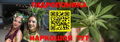 ГАЛЛЮЦИНОГЕННЫЕ ГРИБЫ Гусь-Хрустальный