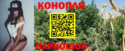 Альфа ПВП Гусиноозёрск