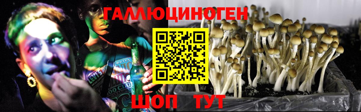 Псилоцибиновые грибы Magic Shrooms Алапаевск
