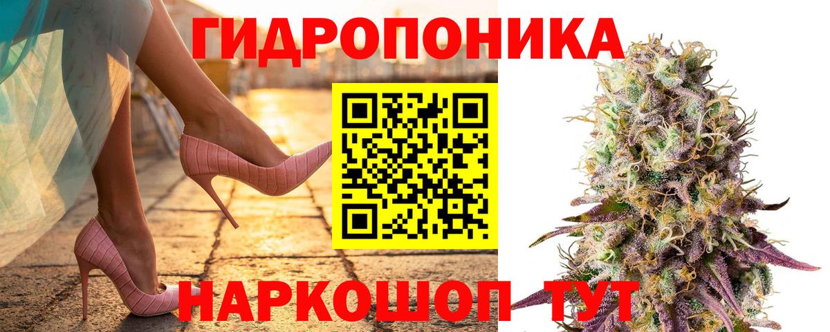 Бошки Шишки сатива  Канабис Bruce Banner  Вход с VPN  Бошки марихуана тримм  Канабис MAZAR  Алапаевск 